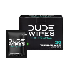 DUDE WIPES XL On-the-Go Flushable Wipes, Mint Chill – 4 Count, 120 wipes