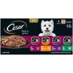Cesar Filets in Gravy Wet Dog Food Steak and Poultry Variety Pack – 3.5 oz, 48 Count