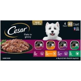 Cesar Filets in Gravy Wet Dog Food Steak and Poultry Variety Pack – 3.5 oz, 48 Count